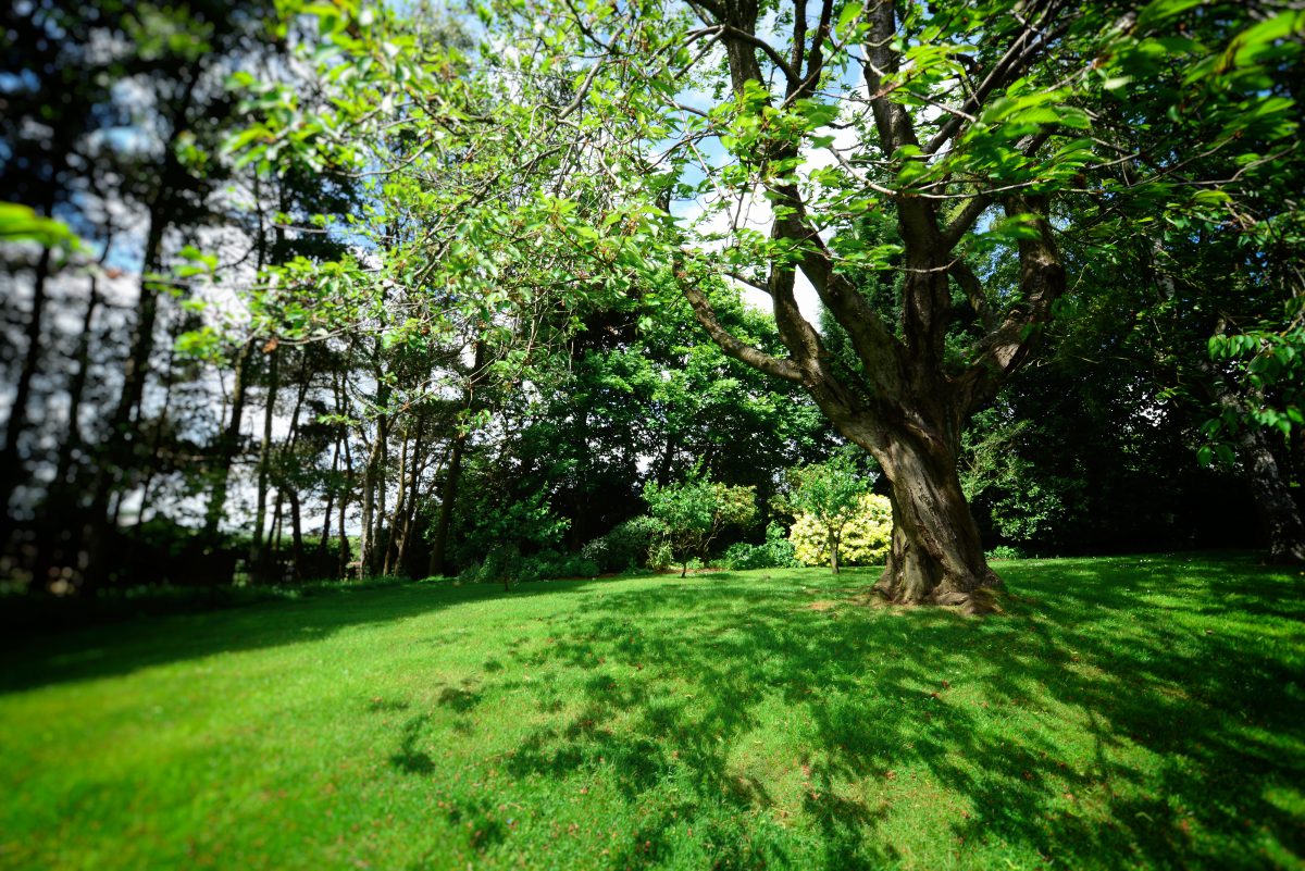 Photo from around Far Heath Recording Studio